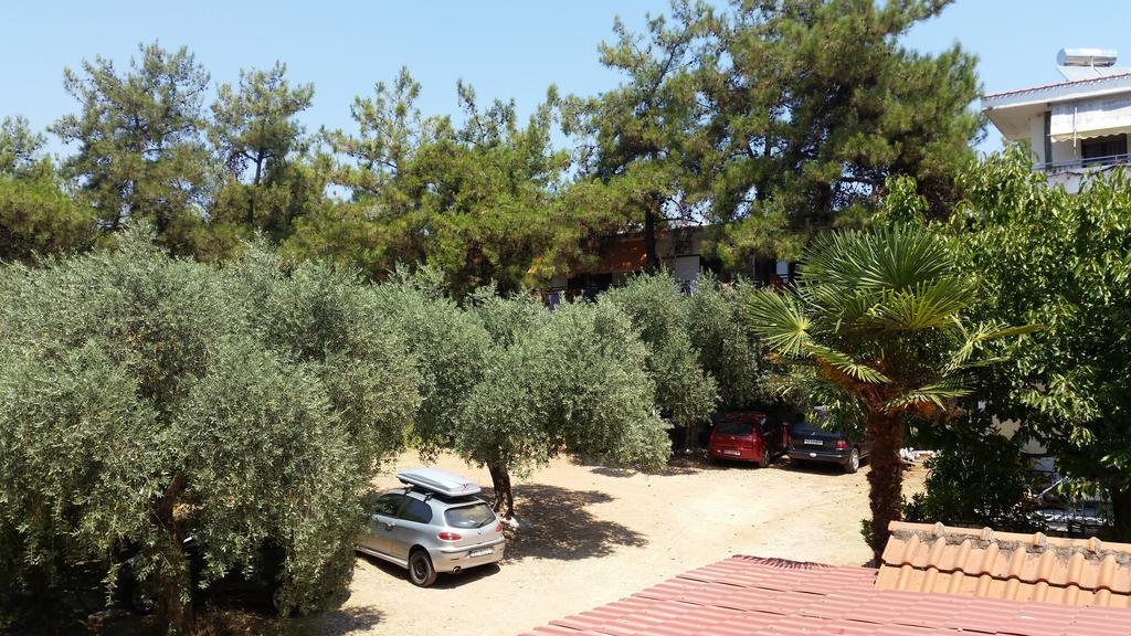 פפקרי Green Velvet Thassos מראה חיצוני תמונה